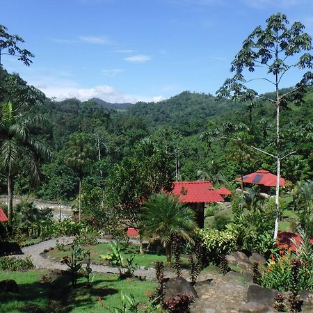 Pacuare River Lodge Bajo Tigre ภายนอก รูปภาพ
