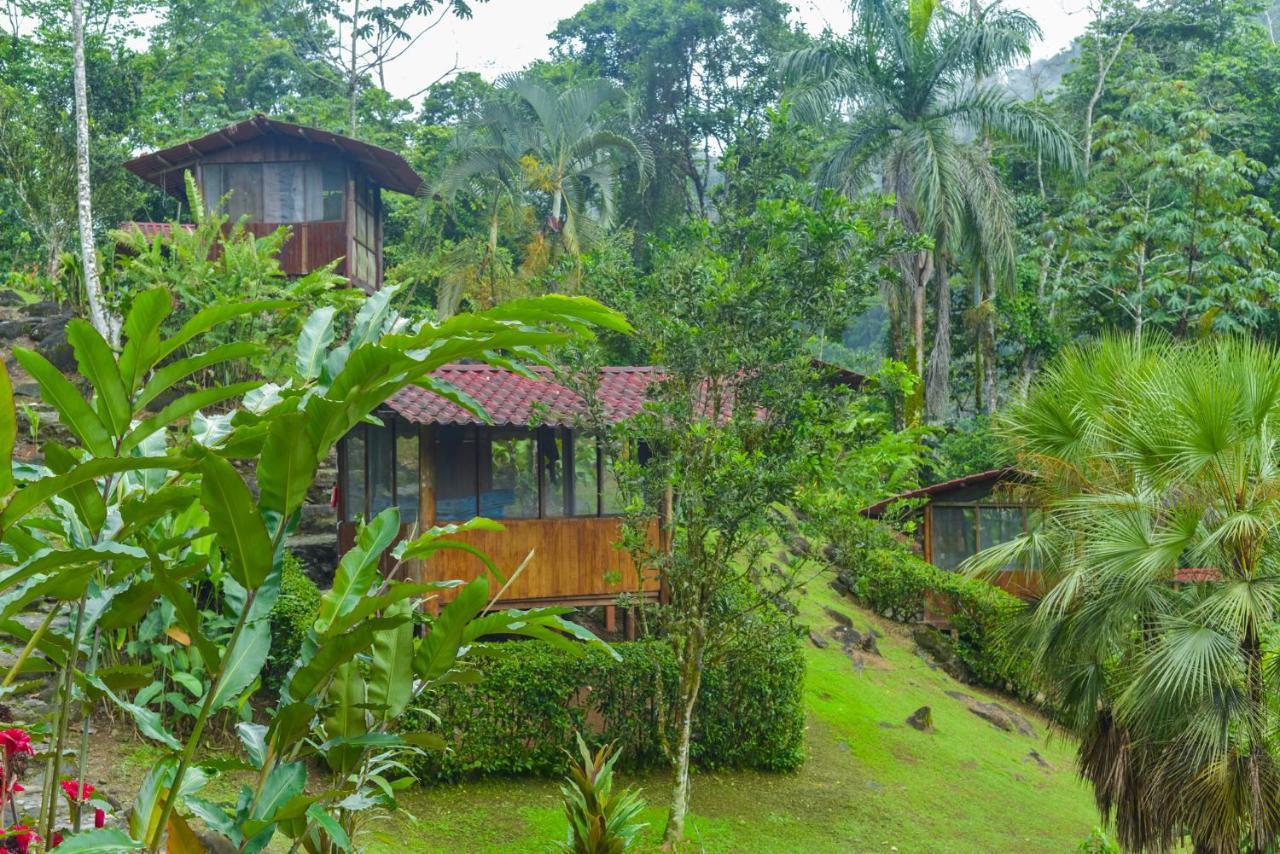 Pacuare River Lodge Bajo Tigre ภายนอก รูปภาพ