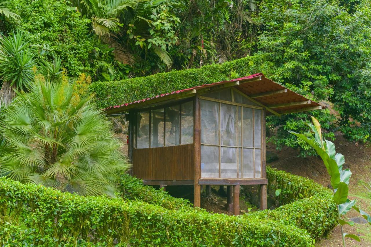 Pacuare River Lodge Bajo Tigre ภายนอก รูปภาพ