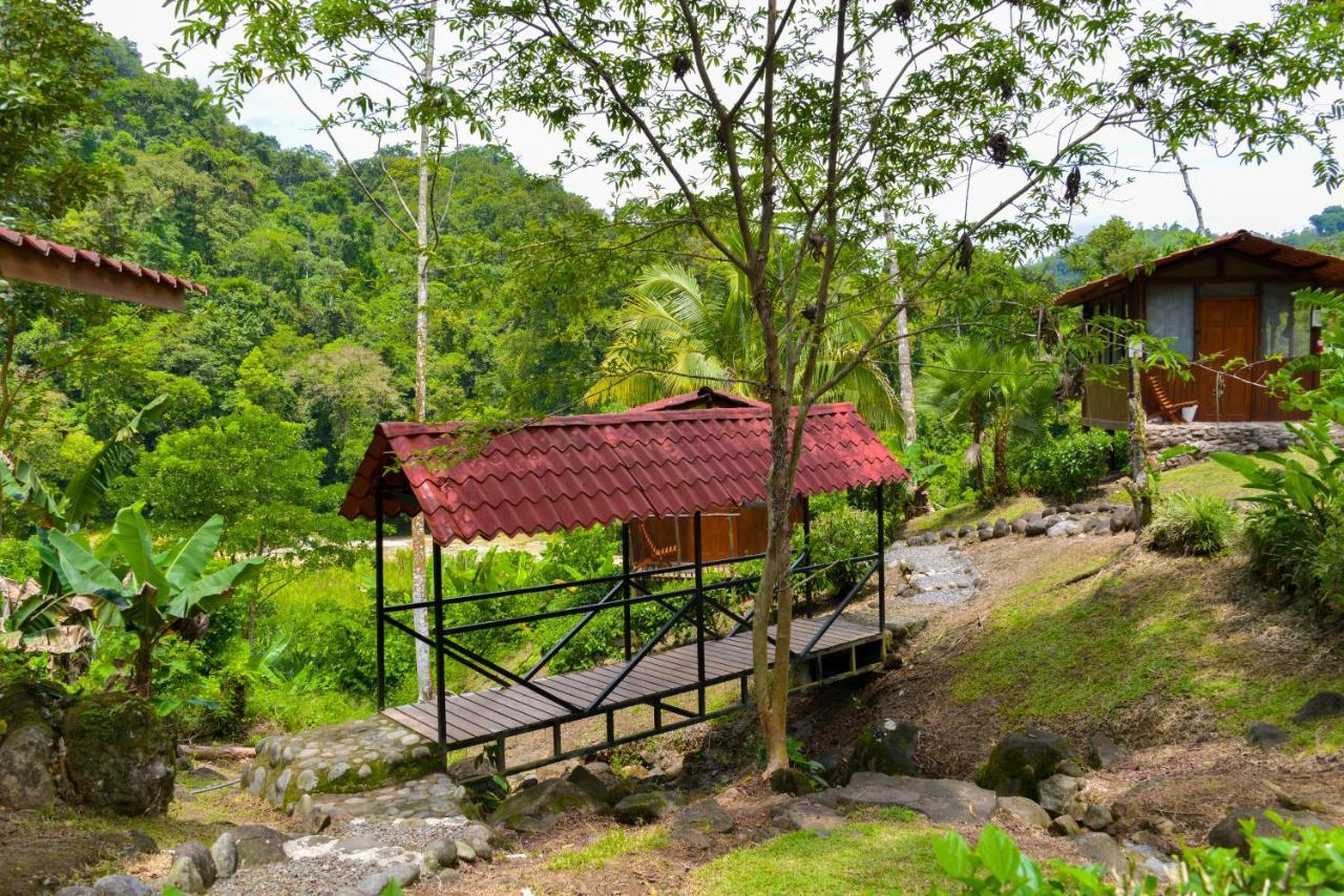 Pacuare River Lodge Bajo Tigre ภายนอก รูปภาพ