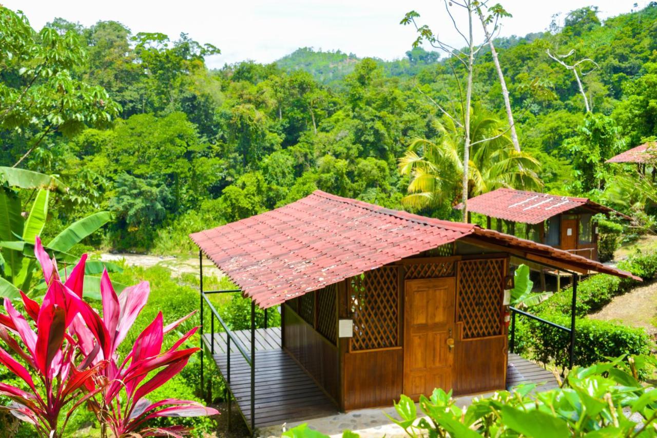 Pacuare River Lodge Bajo Tigre ภายนอก รูปภาพ