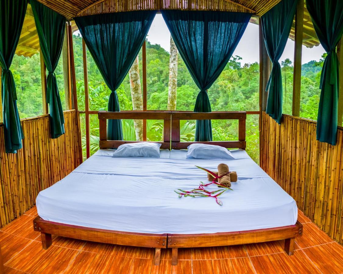 Pacuare River Lodge Bajo Tigre ภายนอก รูปภาพ