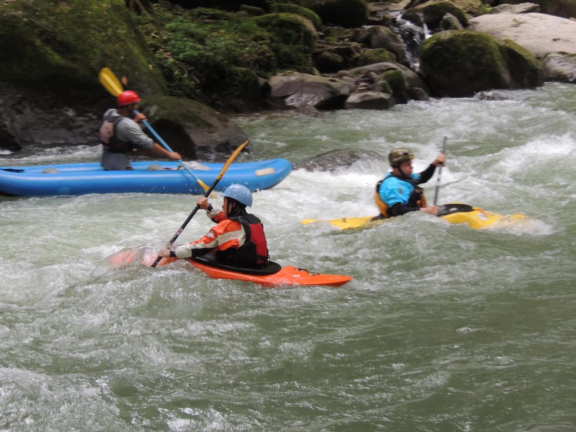 Pacuare River Lodge Bajo Tigre ภายนอก รูปภาพ