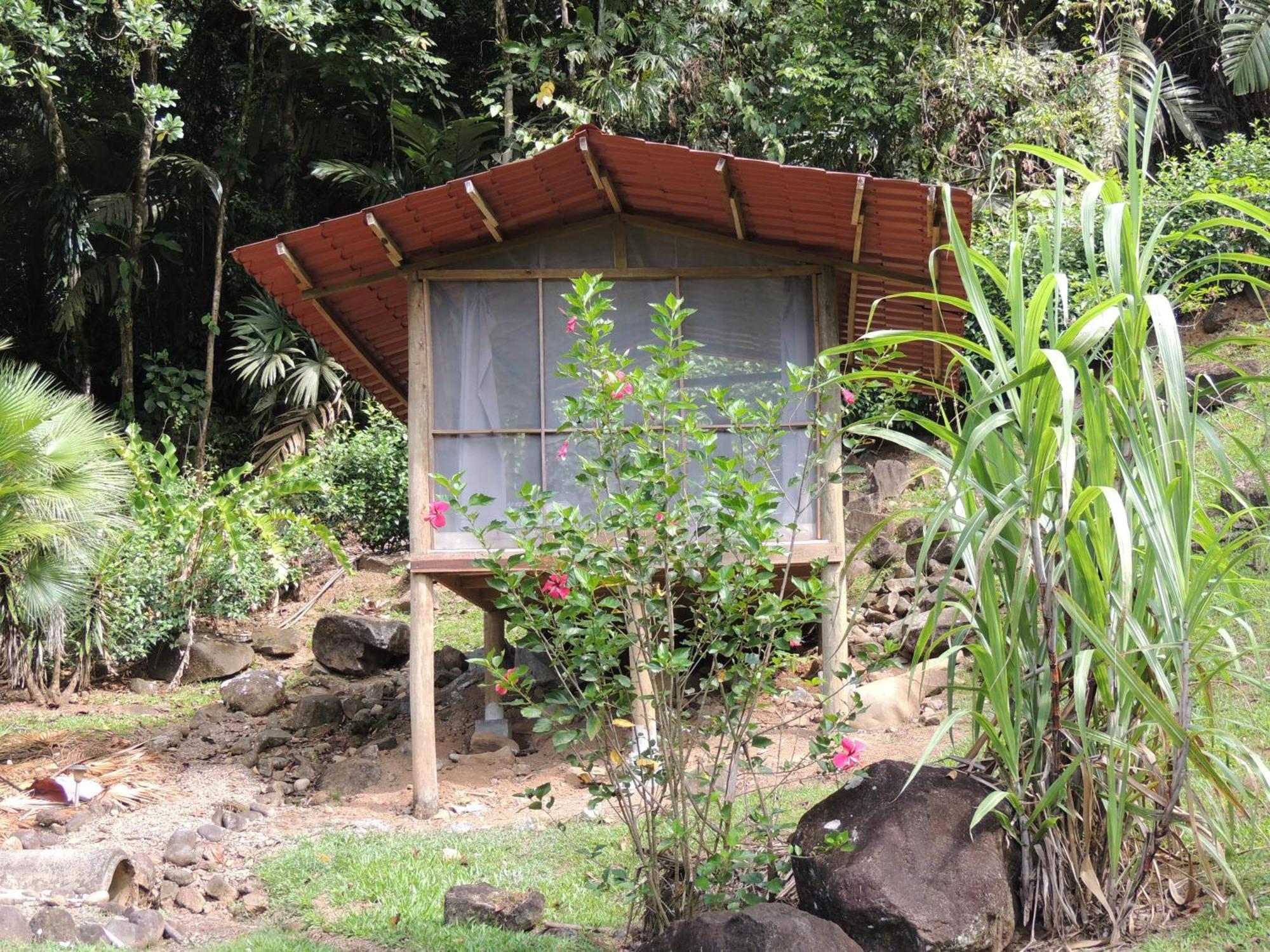Pacuare River Lodge Bajo Tigre ภายนอก รูปภาพ