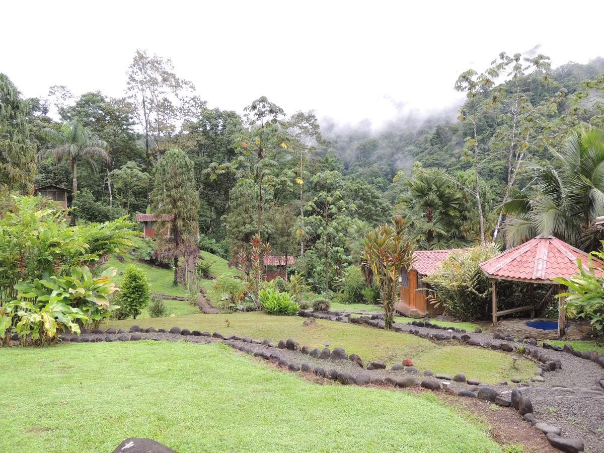 Pacuare River Lodge Bajo Tigre ภายนอก รูปภาพ