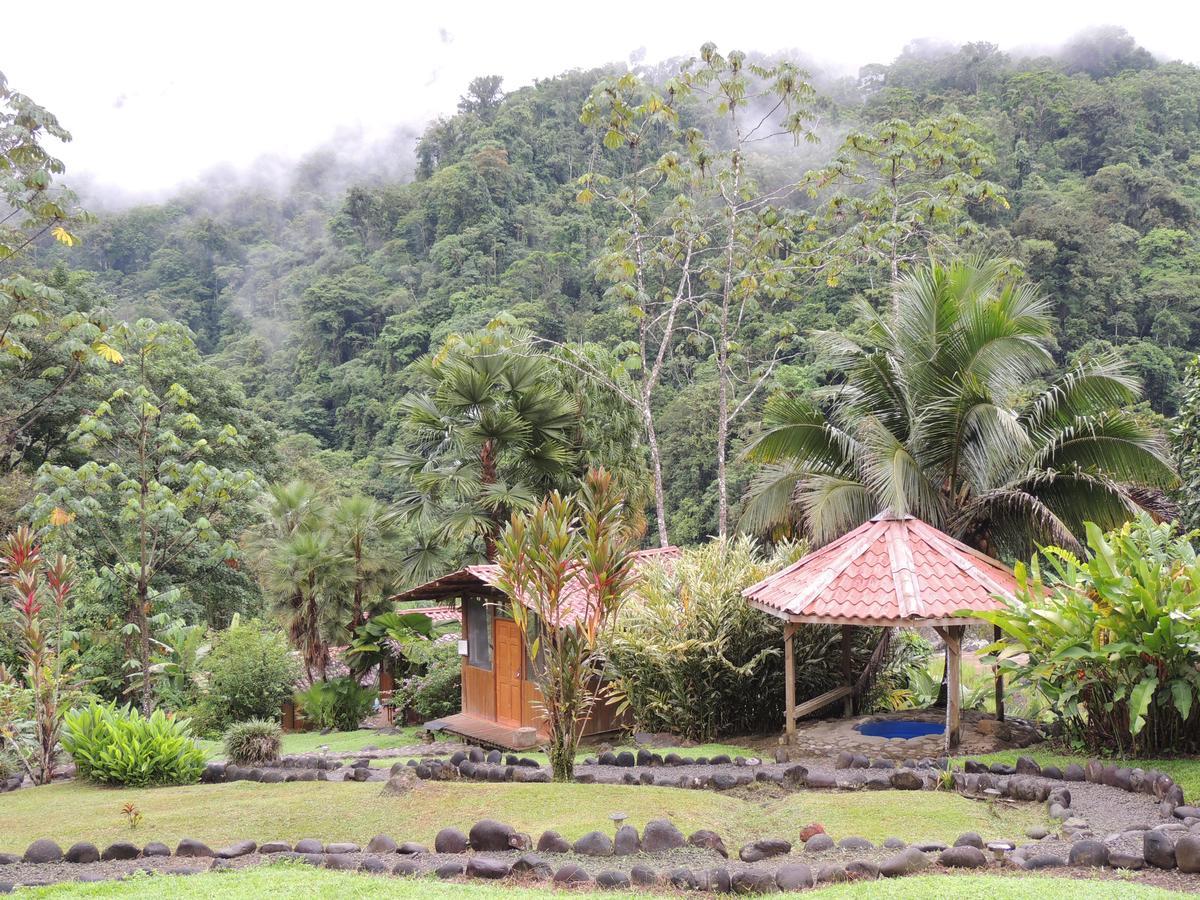 Pacuare River Lodge Bajo Tigre ภายนอก รูปภาพ