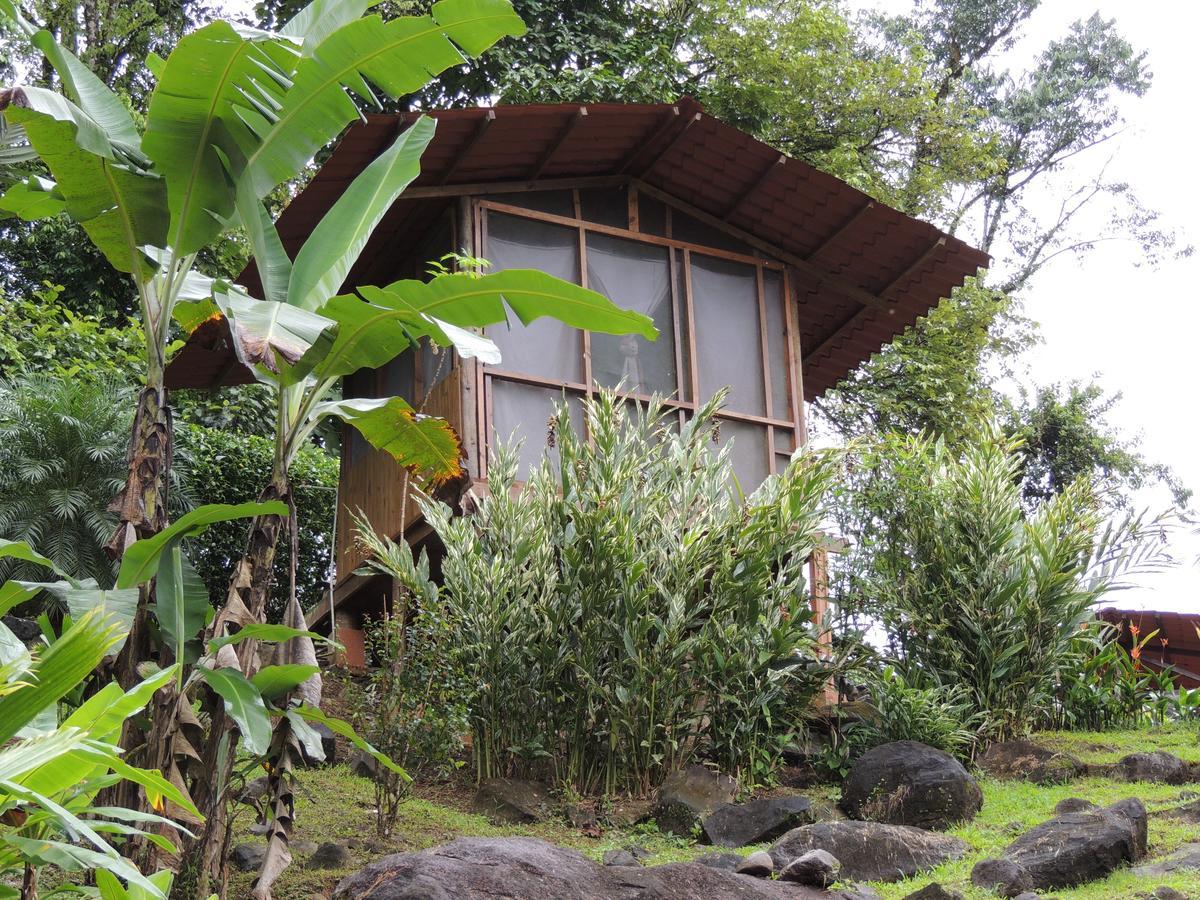 Pacuare River Lodge Bajo Tigre ภายนอก รูปภาพ