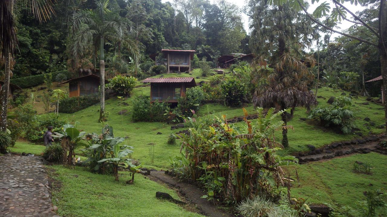 Pacuare River Lodge Bajo Tigre ภายนอก รูปภาพ
