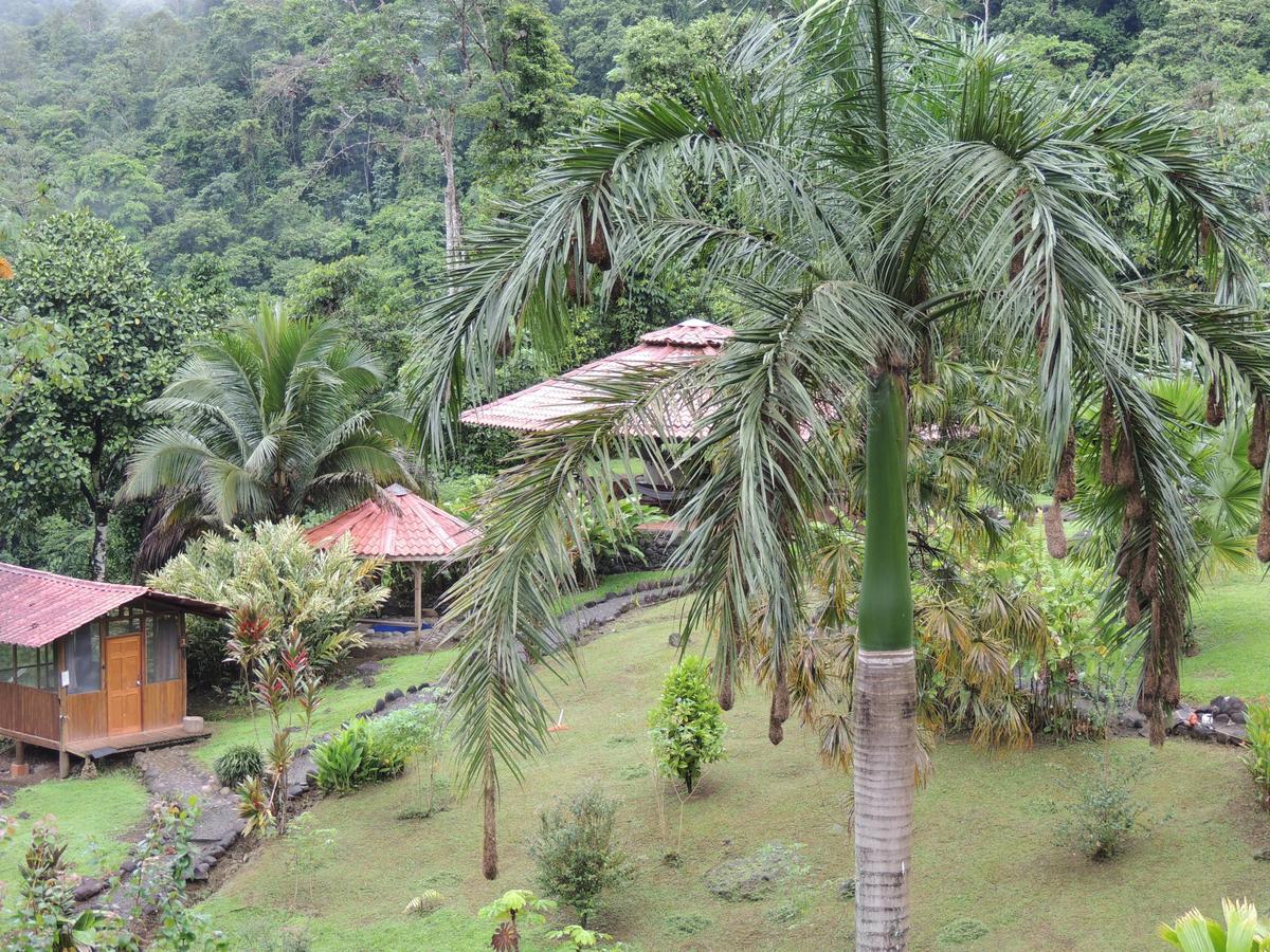 Pacuare River Lodge Bajo Tigre ภายนอก รูปภาพ