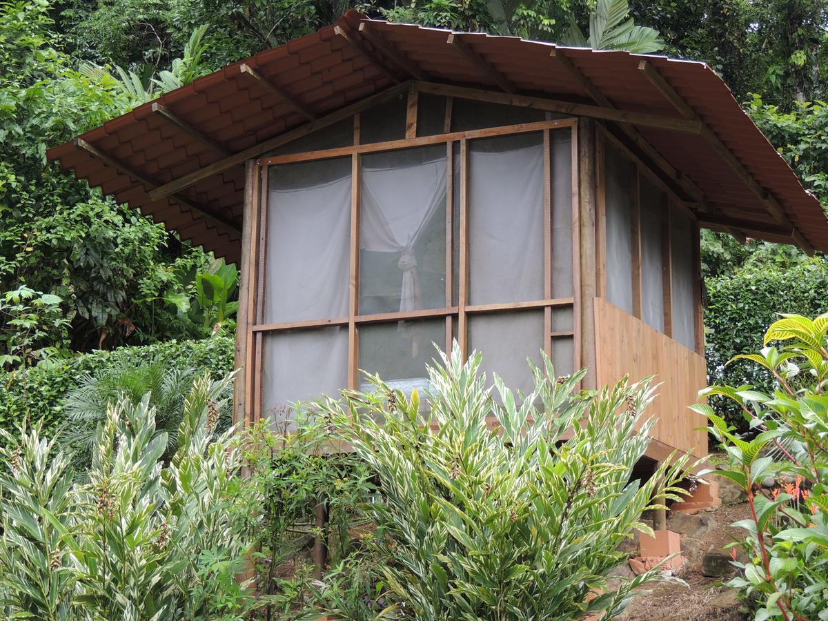 Pacuare River Lodge Bajo Tigre ภายนอก รูปภาพ