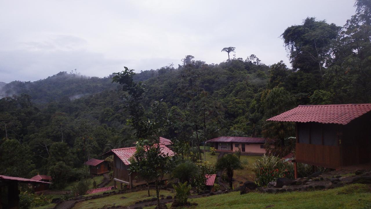 Pacuare River Lodge Bajo Tigre ภายนอก รูปภาพ