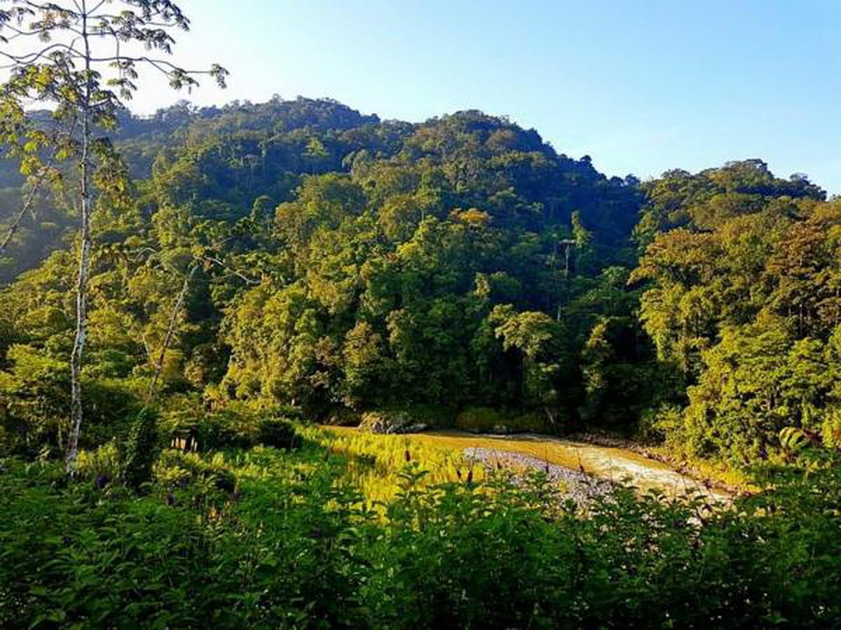Pacuare River Lodge Bajo Tigre ภายนอก รูปภาพ