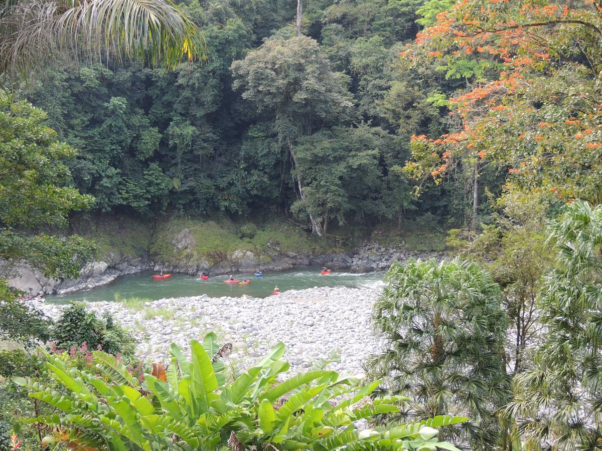 Pacuare River Lodge Bajo Tigre ภายนอก รูปภาพ