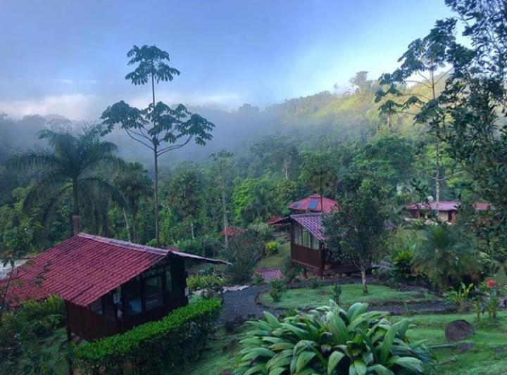 Pacuare River Lodge Bajo Tigre ภายนอก รูปภาพ