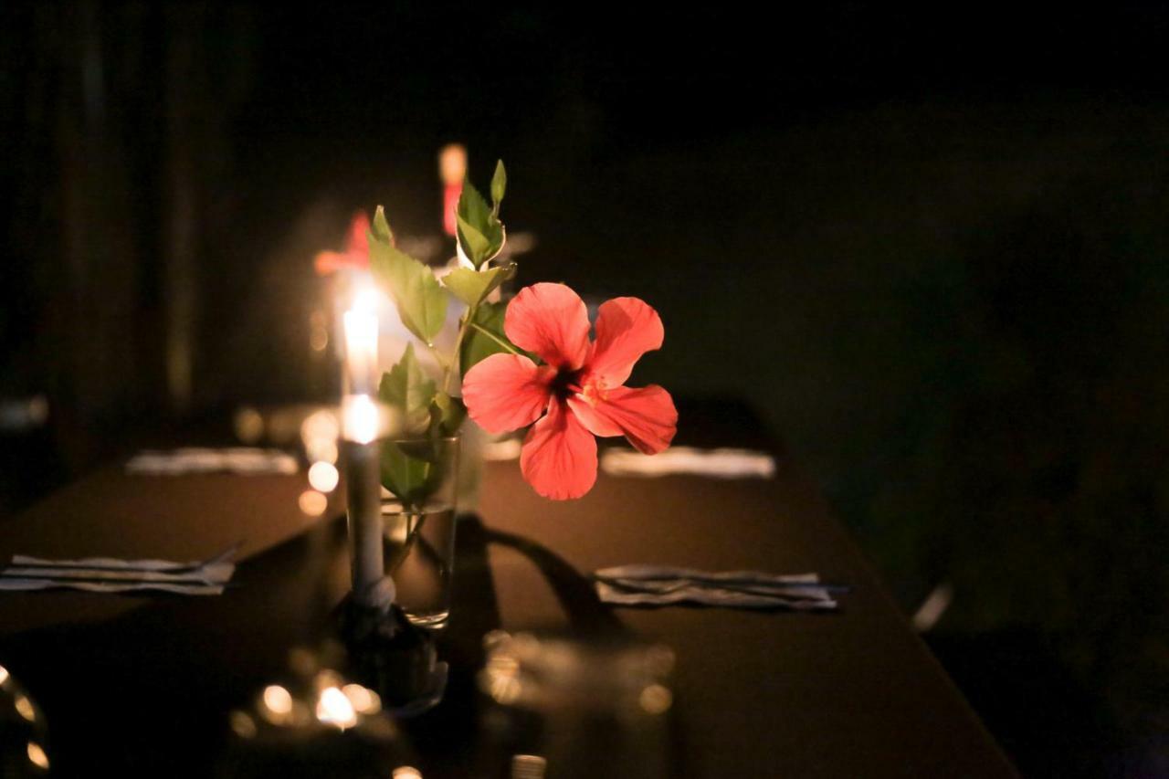 Pacuare River Lodge Bajo Tigre ภายนอก รูปภาพ